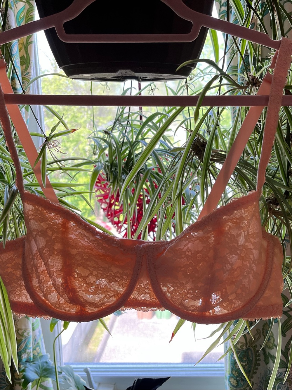Aerie Blush Lace Underwire Bra